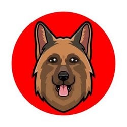 Shepherd Inu